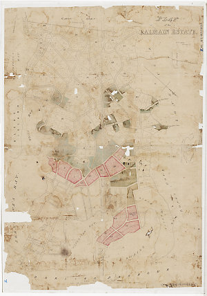Plan of the Balmain estate [cartographic material] / C....