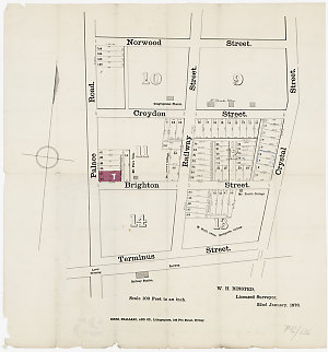 [Petersham subdivision plans] [cartographic material]