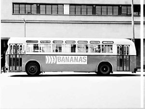 Alan Davis advertisement for bananas on buses, Randwick...