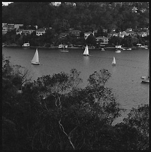 File 37: Castlecrag, January 1969 / photographed by Max...