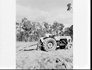 Fiat tractor digging holes in a paddock on a farm