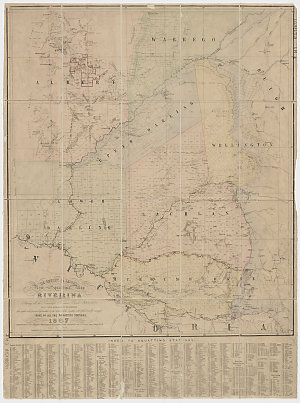 New squatting map of Riverina, district of N.S.W. [cart...