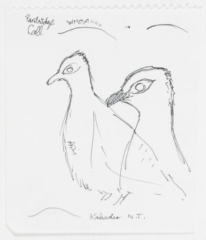 Series 47: Partridge pigeon, 1984-2004 / drawn by Willi...