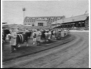 Grand parade and district winning cattle at the 1959 Ro...