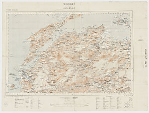 Turkey - scale 1:20,000. Gallipoli [cartographic material] / reproduced at the Survey Dept., Egypt.