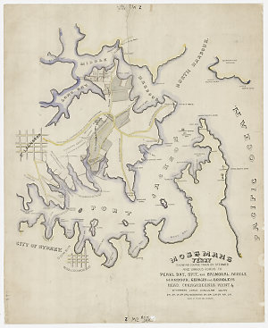 Mossmans Ferry [cartographic material] : showing course...