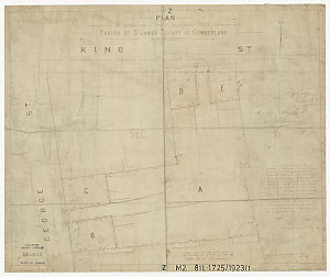 Plan of subdivision of land in application 23225, Paris...