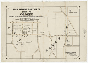 Plan shewing position of land at Coogee [cartographic m...