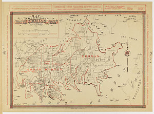Map of the boroughs of North Sydney & Mosman, Parish of...