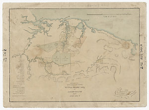 A new plan of the settlements in New South Wales taken ...