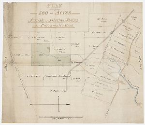 Plan of 160 acres, Parish of Liberty Plains on the Parr...