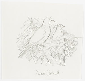 Series 15: Christmas island pigeon, [ca 2000-2010] / dr...