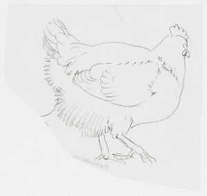 Series 14: Chooks, 1997-2012 / drawn by William T. Coop...