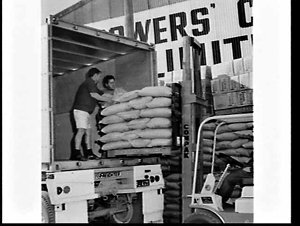 Loading rice on pallets into containers on trucks, Rice...