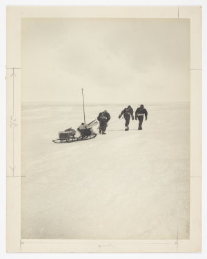 Item 1298: Geographical narrative and cartography. Sled...