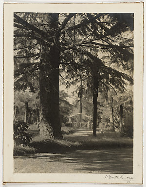 Photographs of the grounds of Dennarque, Mt. Wilson