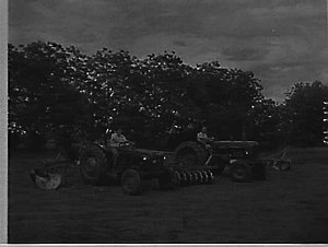 Fordson Major Dexta tractor at Hawkesbury Agricultural ...