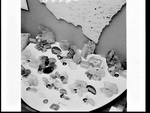 Unidentified geology professor photographs a lapidary e...