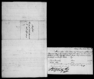 King and Lethbridge family papers, 1801-1886