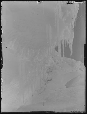 Q124: Stalactites on the face of shelf ice / Andrew D. ...