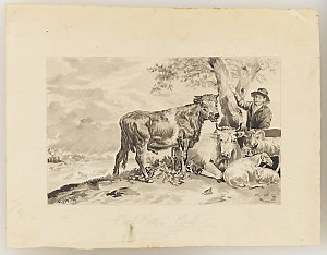 [Collection of drawings by Herbert J. Woodhouse]