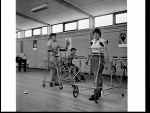 The Foundation for Disabled, Cherrywood Village, Llandi...