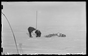 P208: Hoadley and Watson measure the amount of snow pre...
