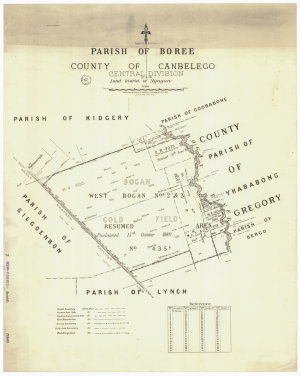 [Parish of Boree, County of Canbelego] [cartographic ma...