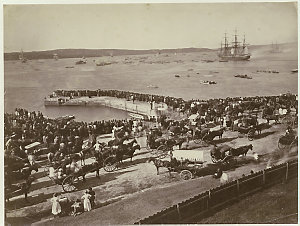 [Sham Naval fight, Detached Squadron, Sydney, 1881]