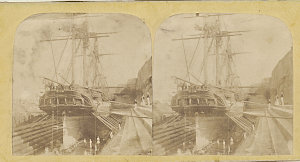 Iris in Fitz Roy Dock, Sydney, 1858 [i.e. Fitzroy Dock,...