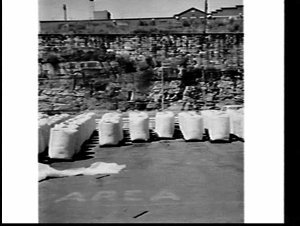 Pallet of goods for import/export, Wharf no. 25 Pyrmont