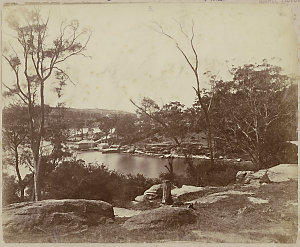 [Sydney Harbour : boat hire / attributed to the America...