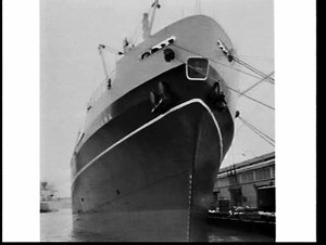 P. & O. ship Arakawa, Pyrmont