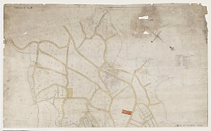 Plan of the town and municipality of Balmain, county of...