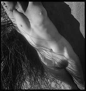 File 10: Nude in grass, 1939 / photographed by Max Dupa...