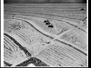 Aerial photograph of rice harvesting, Leeton