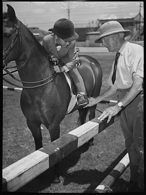 Preparation for 1956 Olympics - horse training at Showg...