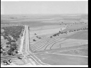 Aerial photograph of fields, Leeton area