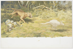 Item 61: Thylacine Chase, [1947-2015 / painted by Willi...