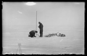 P169: Ablation measurements, Shackleton Shelf / Andrew ...