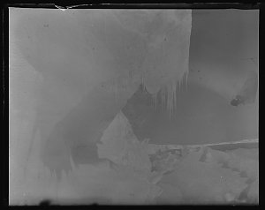 Q142: Face of Shackleton Shelf / Morton Henry Moyes