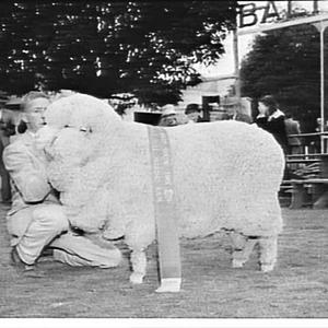Sheep Show, 1961