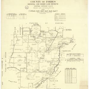 [Parish of Goonigal, County of Forbes] [cartographic ma...