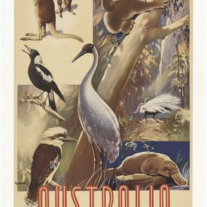 Fauna Australia [picture] / [James Northfield].