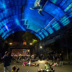 Item 12: Spectators at Vivid Light Festival, Sydney, ly...