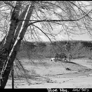 File 41: Blue Mountains, 1940s-1950s / photographed by ...