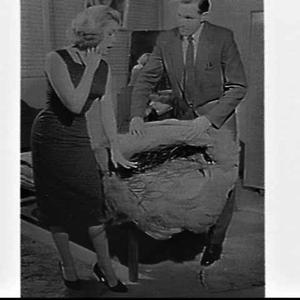 Advertising photographs showing effects of a bad mattre...