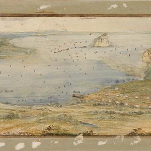 Item 02: The Coal River or Port of Newcastle New South ...