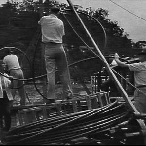 Walter Barr Ltd. laying plastic moulded pipe across Ber...