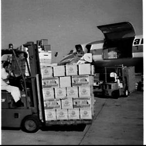 Loading Ausmark shipment of fruit and vegetables for No...